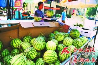 瓜农热门大瓜,揭秘瓜界风云录