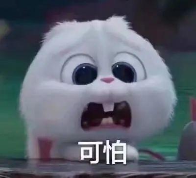 长春今日吃瓜事件真相,揭秘背后真相与网络舆论的反思