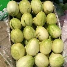 莘县燕店黄皮瓜今日价格,价格行情一览”