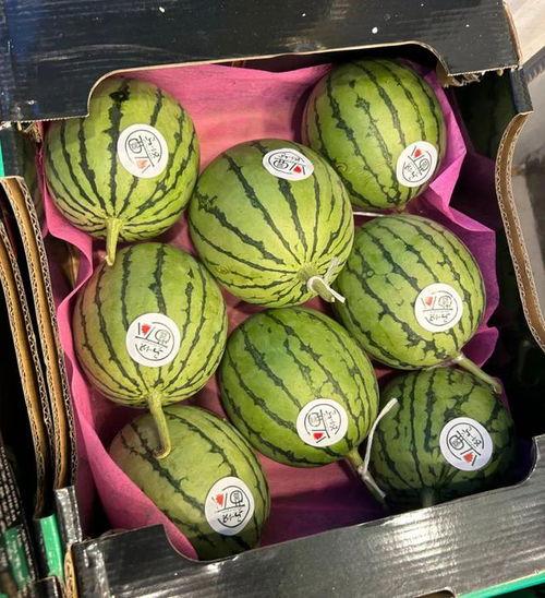青岛鼎信麒麟瓜今日价格,价格行情一览”