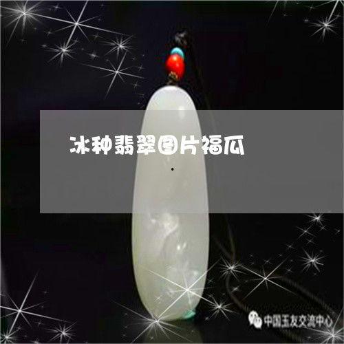 今日福瓜最新消息,揭秘今日热点事件背后的真相