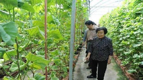 江阴吃瓜最新事件爆料是真的吗,最新爆料真相揭秘