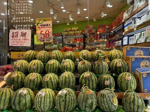 海南有籽麒麟瓜今日价格,新鲜上市，品质保证