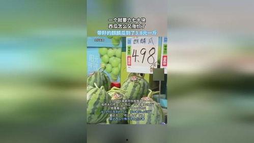 海南有籽麒麟瓜今日价格,新鲜上市，品质保证