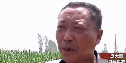 潮汕热门吃瓜事件真相揭秘,揭秘背后的真相与真相背后的真相