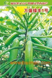 寿光籽瓜今日价格行情,价格波动解析
