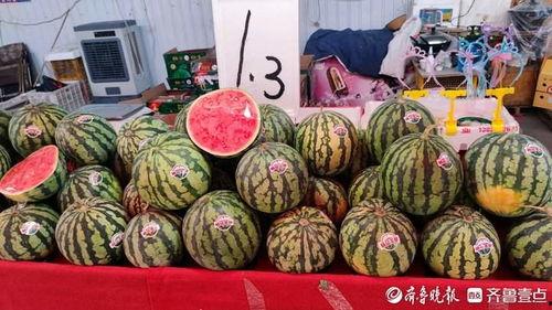 玉溪今日小瓜价格行情,今日市场动态一览