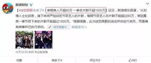 流量明星网红限制令,流量明星网红新规下的行业转型与挑战