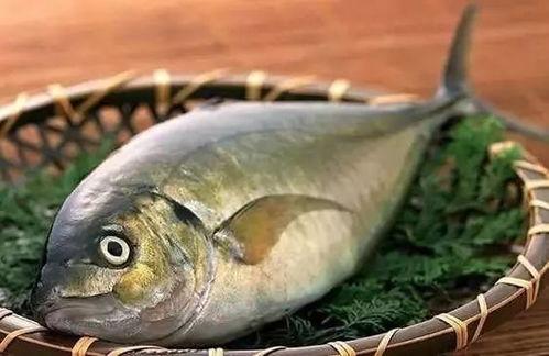 什么鱼吃黑蜜瓜最好吃,揭秘哪种鱼最钟爱黑蜜瓜