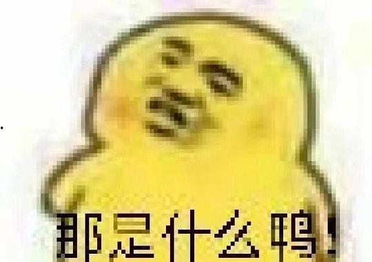 今日吃瓜的图片表情包,笑翻你的日常