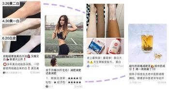 明星网红的小红书,明星效应下的生活方式风向标
