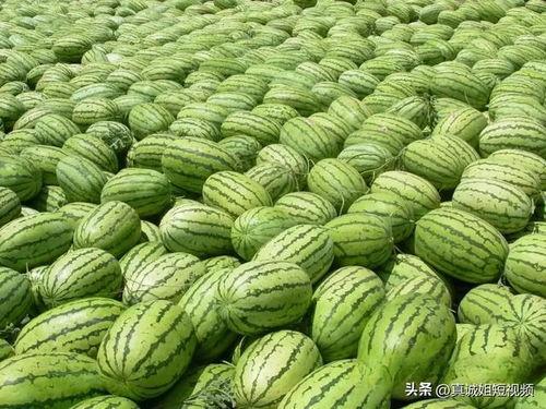 今日吃瓜热门大,揭秘娱乐圈最新八卦风云