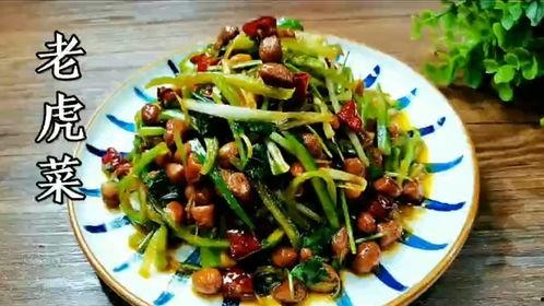 黑料吃瓜老虎菜,一场网络热议背后的真相与反思
