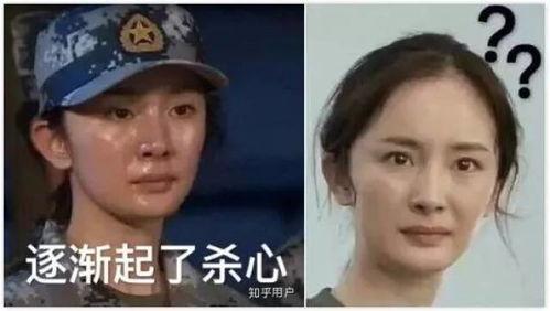 明星网红搞笑表情包,明星网红搞笑表情包大盘点
