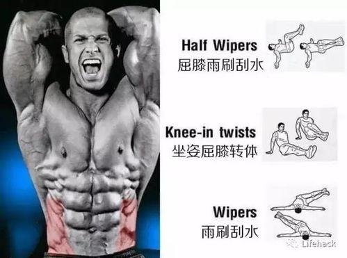 热门吃瓜没腹肌的张张,吃瓜达人，腹肌成谜的娱乐圈焦点