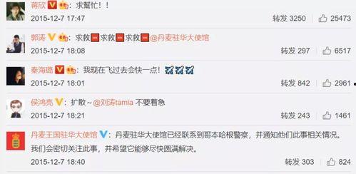 明星网红加微信,粉丝福利大放送！”