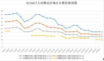 小瓜今日行情分析最新,洞察市场脉搏，把握投资新动向