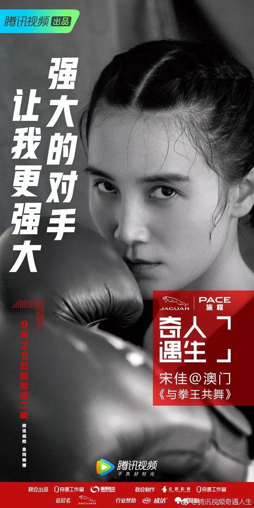 明星网红对比文案图文,一场视觉与影响力的对决