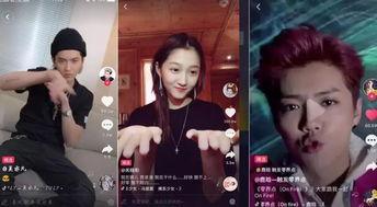 明星网红今日推荐视频,揭秘热门视频背后的潮流趋势