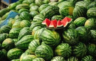 李二狗吃瓜黑料,揭秘娱乐圈背后的真相