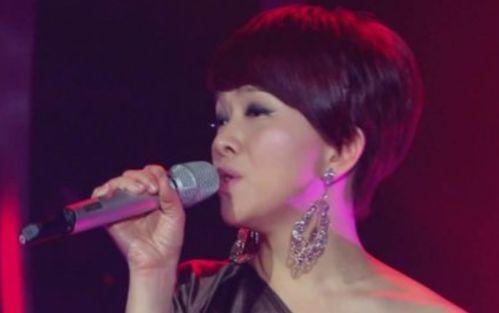 明星网红歌曲有哪些,明星网红歌曲盘点