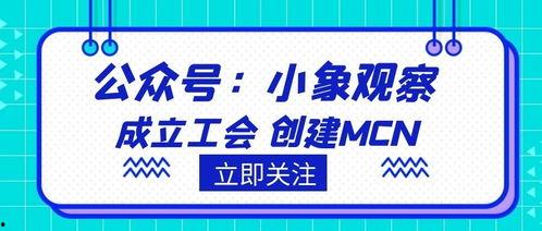 今日吃瓜爆料入口 抖音第一枪,揭秘今日吃瓜爆料入口背后的真相