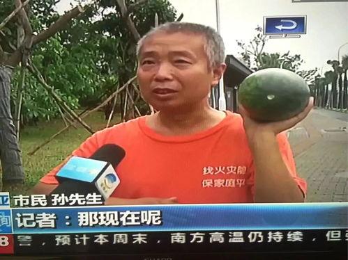 上海热门吃瓜事件视频下载