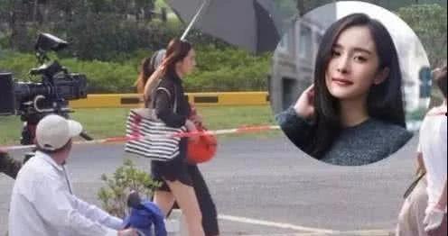 伞明星网红同款,时尚潮流必备单品