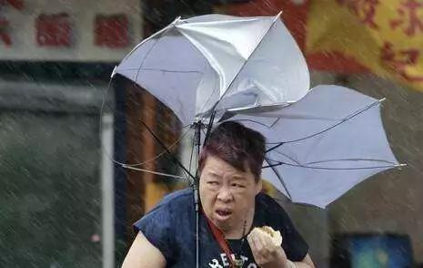 伞明星网红同款,时尚潮流必备单品