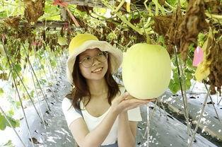 23年热门瓜,2023年度娱乐圈重磅瓜料大盘点