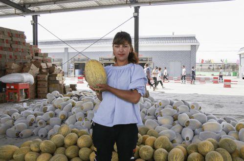 博发市场伽师瓜今日价格,价格行情一览”