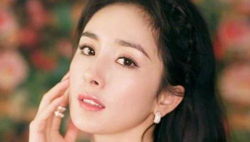 最有名的明星网红