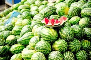 今日看料每日一瓜91,揭秘娱乐圈最新热点事件