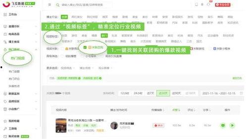 飞瓜最新热门视频软件,最新热门软件趋势一览