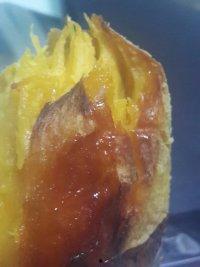 今日莱芜553地瓜产地