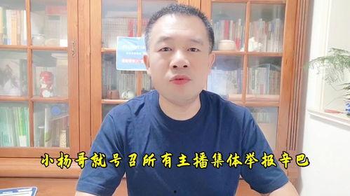 吃瓜网今日吃瓜 热门大瓜小杨哥,吃瓜网今日热门大瓜小杨哥独家解读