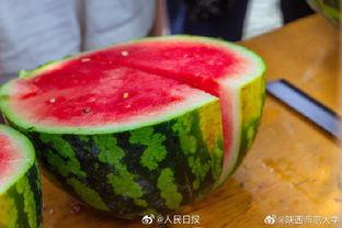 高校黑料吃瓜群,吃瓜群里的校园风云录