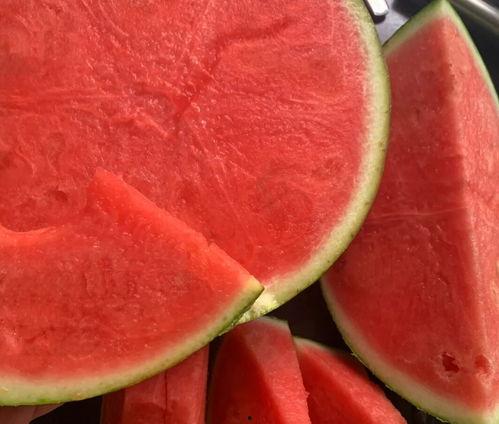 上海热门瓜,揭秘都市生活背后的精彩故事