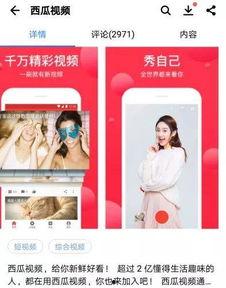 今日头条小瓜直播视频,今日热点事件深度解析