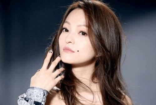 歌曲明星网红有哪些,盘点当红歌曲明星与网红风采